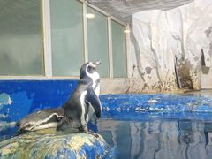 -太平洋海底世界