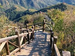 -大岭沟猕猴桃谷风景区