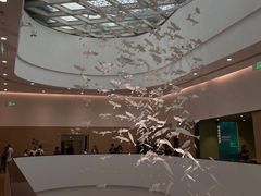 -中国湿地博物馆