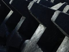 -上海滨江森林公园