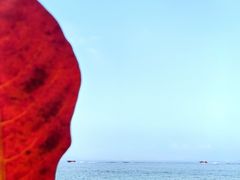 -三亚蜈支洲岛旅游区