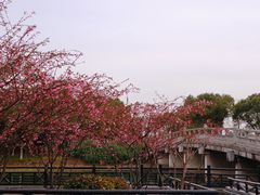 -石湖景区