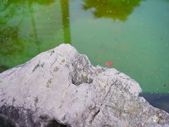 -静安公园(静安寺街道)