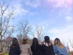 -春花秋色城市公园