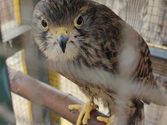 -石家庄市动物园