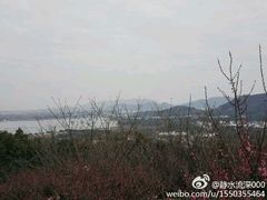 -香雪海
