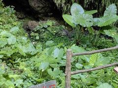 -海口火山口国家地质公园