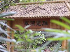 -大屏嶂森林公园