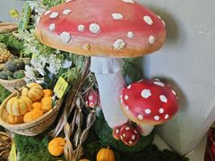 -花菇朵 ll 野生菌锅·精品滇菜(后沙峪店)