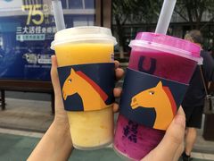 -春丽小马(济南恒隆广场店)