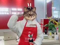 -天鹅到家·保姆月嫂育儿嫂(江渝店)