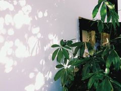 -隐溪茶馆(静安寺店)