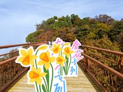 -少华山国家森林公园