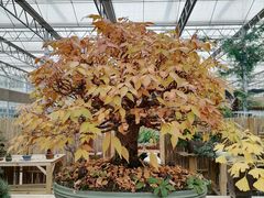 -三圣花乡旅游区