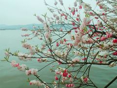 -西湖天地