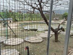 -河北村民俗体验园