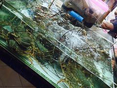 -班赞海鲜市场