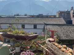 -喵屿·大理花园猫咖