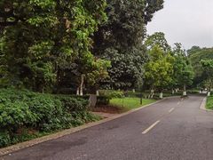 -张坝桂圆林公园