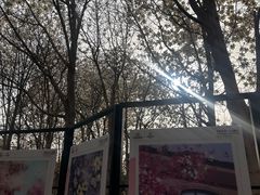 -睦南公园