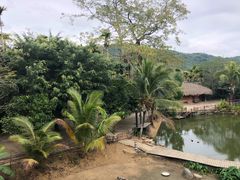 -海南槟榔谷黎苗文化旅游区