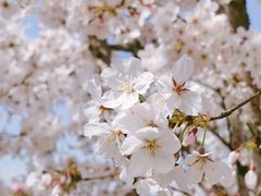 -龙美术馆(西岸馆)