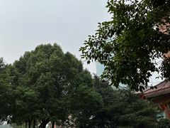 -华西村