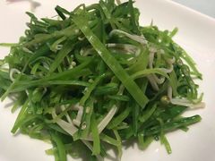 -席家花园(巨鹿花园店)
