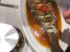 -正阳春烤鸭店(杨楼店)