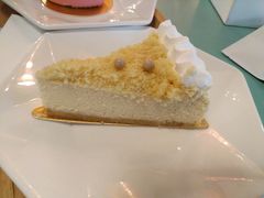 重芝士蛋糕-sugarman espresso素饮糖人高新咖啡工厂