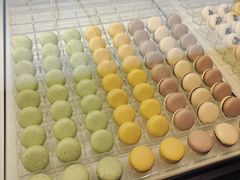 -BLACKSWAN黑天鹅(环球店)