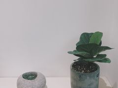 -Onirii Coffee(长乐路店)