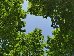 -宜兴龙背山森林公园