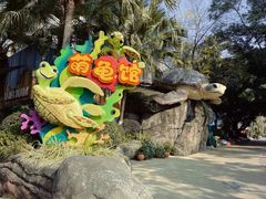 -海合安成都极地海洋公园