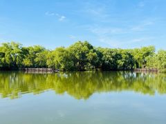 -长兴太湖图影湿地文化园