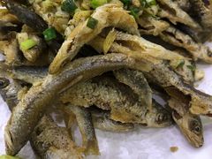 -全乐鱼馆·淳牌有机鱼直营店