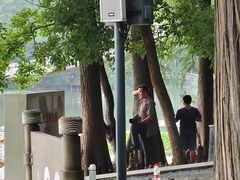 -东湖落雁景区