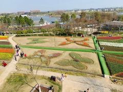 -杭州湾海上花田景区
