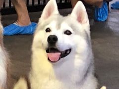 -TrueLove @ Neverland (Husky Cafe)