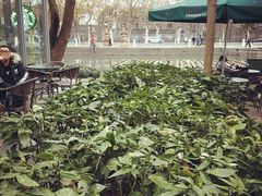 -星巴克(西湖天地店)