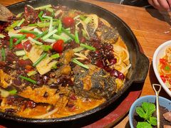 -老板恋上鱼(高新万达店)