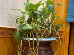 -伊帆食府·青海地方特色美食