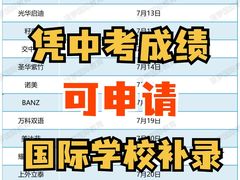 -菠萝国际教育专注Alevel·IGCSE·IB·AP·托福雅思培训辅导(静安校区)