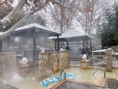 -春晖园度假酒店温泉