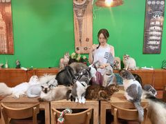 大堂-李小姐の猫咖啡馆(五角场店)