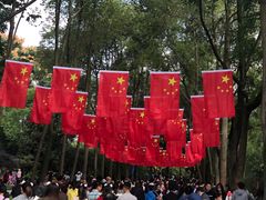 门面-成都大熊猫繁育研究基地