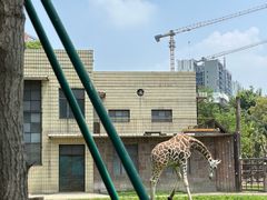 -成都动物园