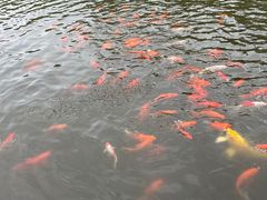 -济南马套将军山