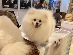 -国际非物质文化遗产博览园