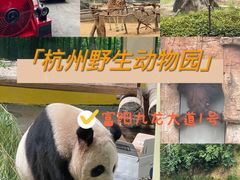 -杭州野生动物世界